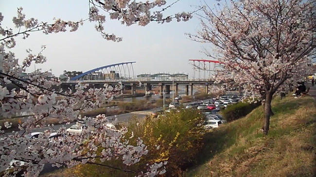 김나경명품세탁 이미지