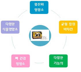라이프종합관리 이미지