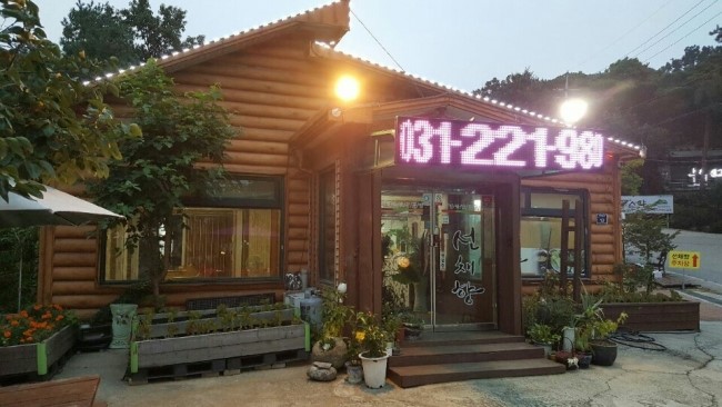 선채향 이미지