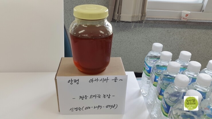 청운오리 이미지