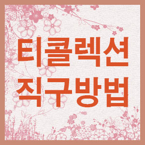 안콜렉션 이미지