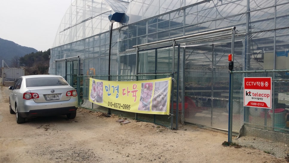 민경이네 다육 이미지