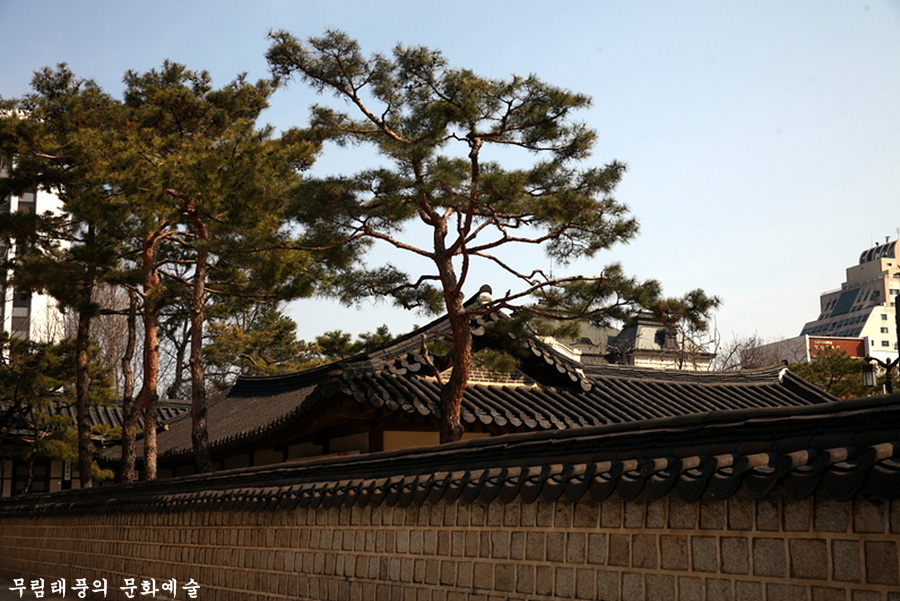 교동초등학교 이미지