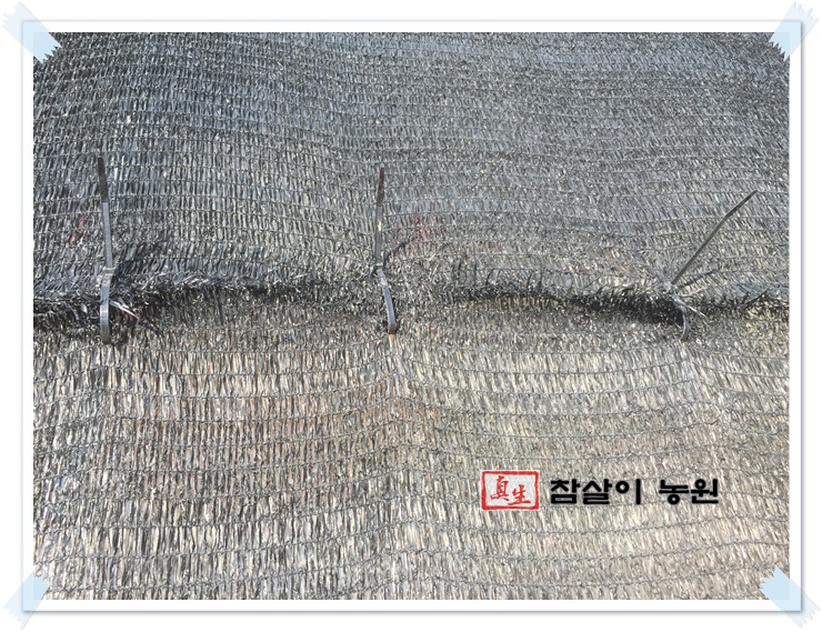 한땀수선 이미지