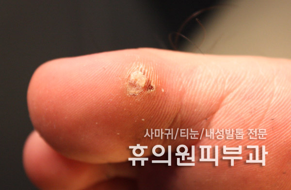 휴의원 이미지