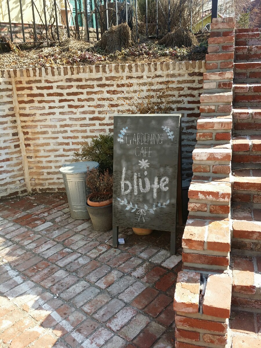 블뤼테(Blute) 이미지