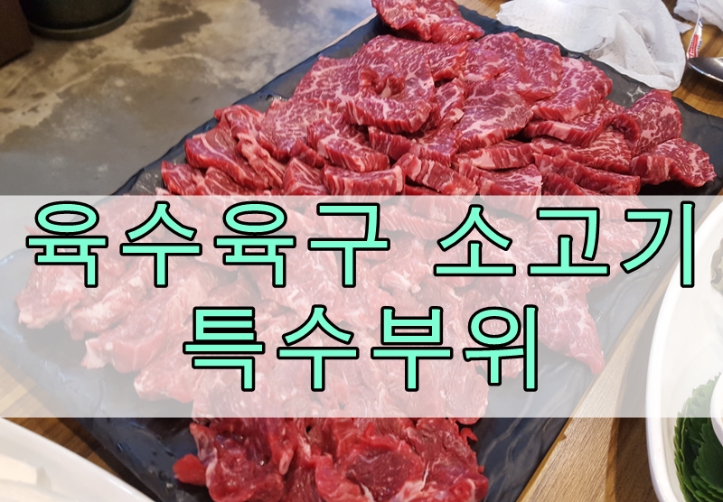 육사육구 이미지