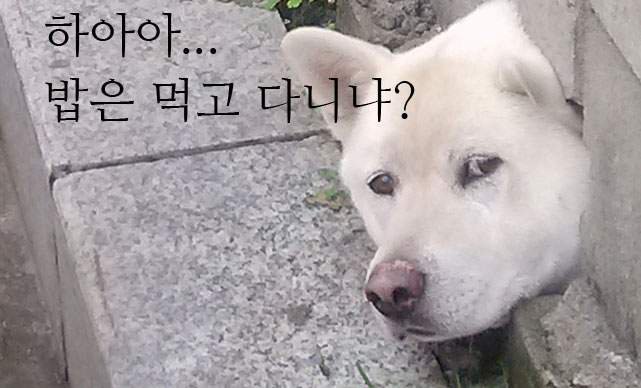 육해공생칼국수 이미지