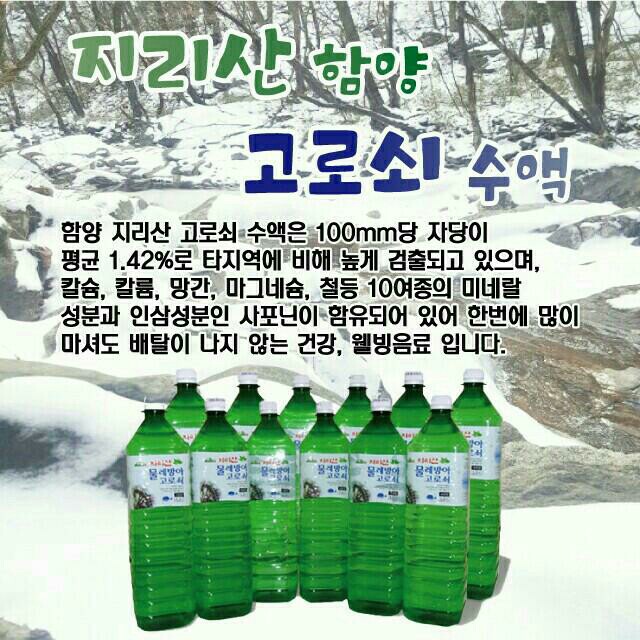 고로쇠 이미지