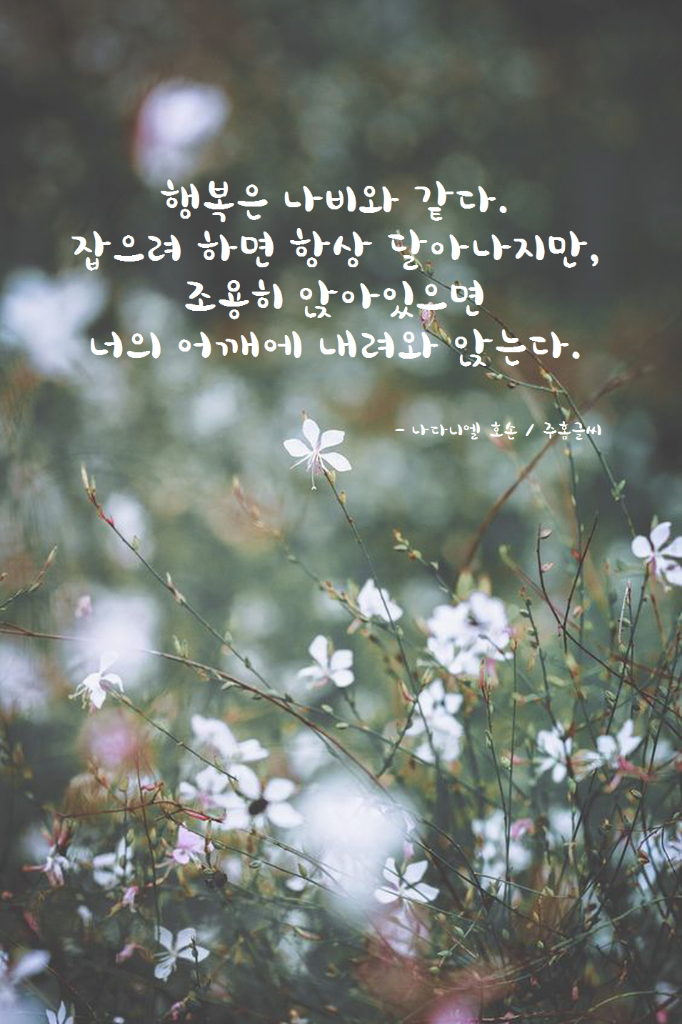 책속의행복 이미지