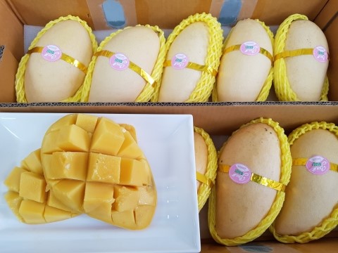 불당야채과일 이미지