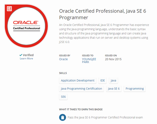 Oracle Certified Professional, Java SE 6 Programmer : 네이버 블로그
