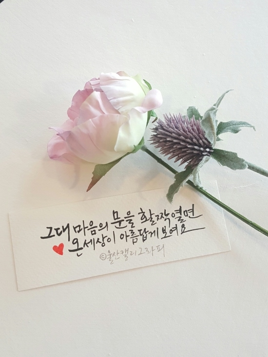 빛깔캘리그라피 이미지