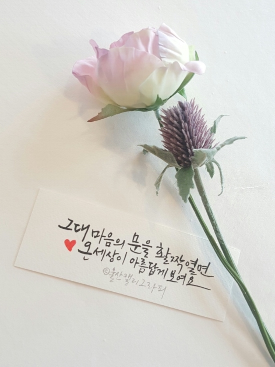 빛깔캘리그라피 이미지