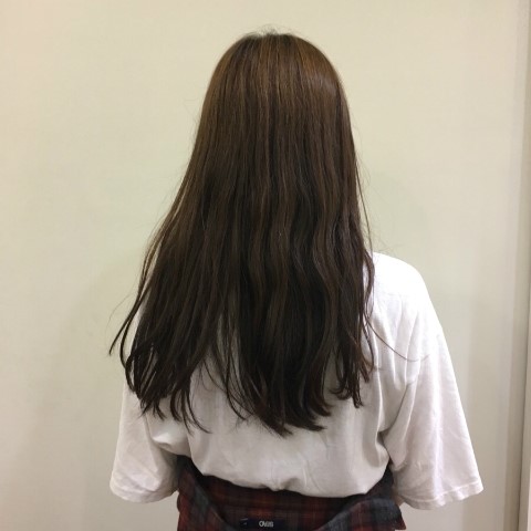 송디 이미지