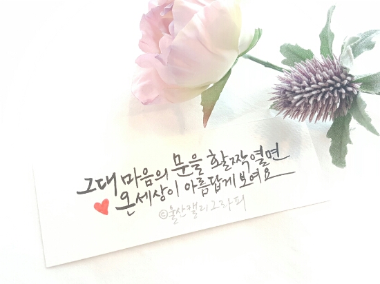 빛깔캘리그라피 이미지