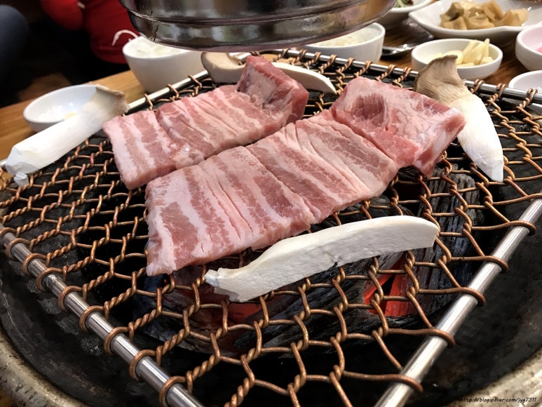 꿀돈 이미지
