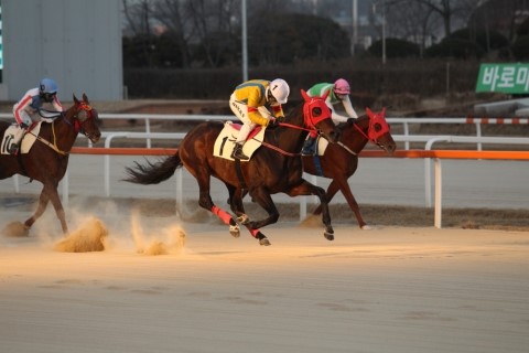 스포츠클린업 이미지