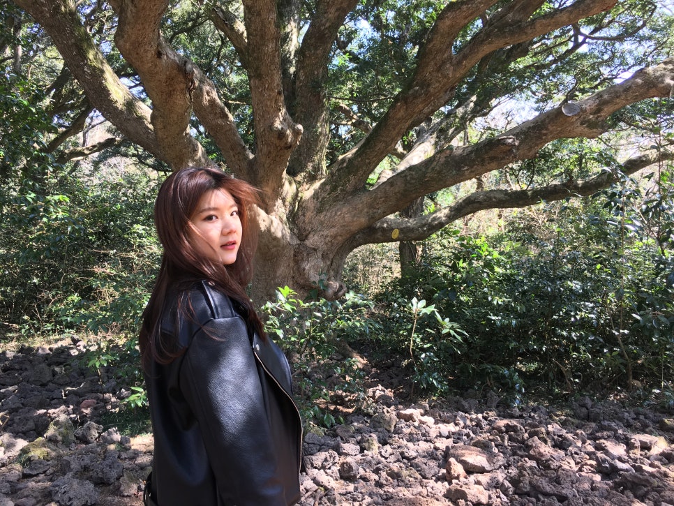 하도상회 이미지