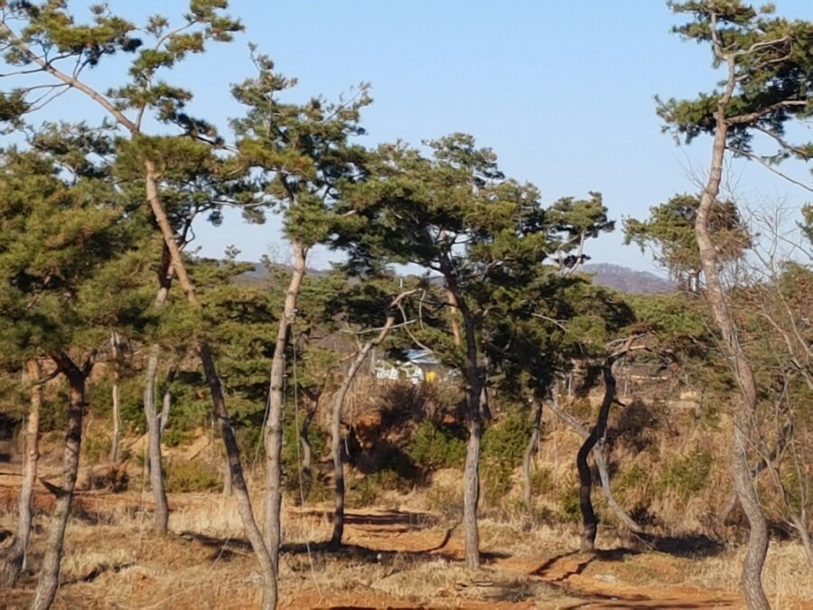 금마조경 이미지