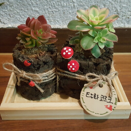탄화코르크 이미지