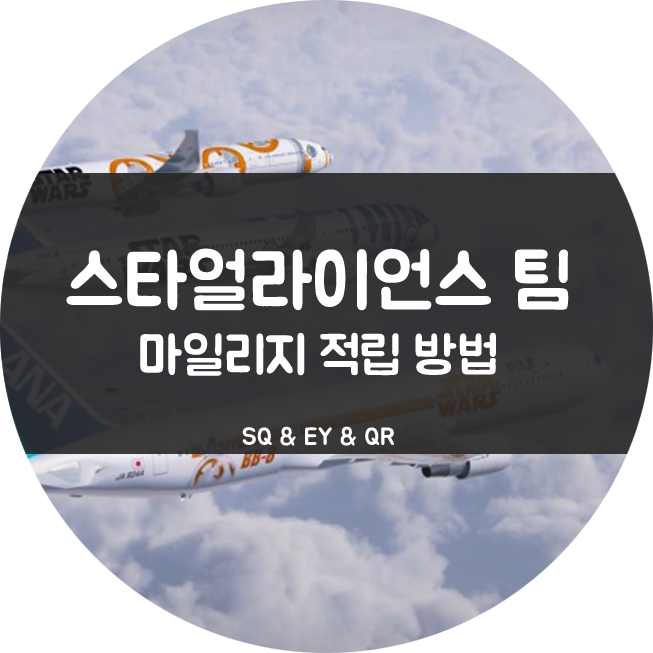 팀항공여행사 이미지