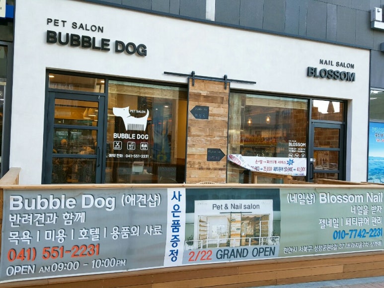 오블라썸네일 이미지