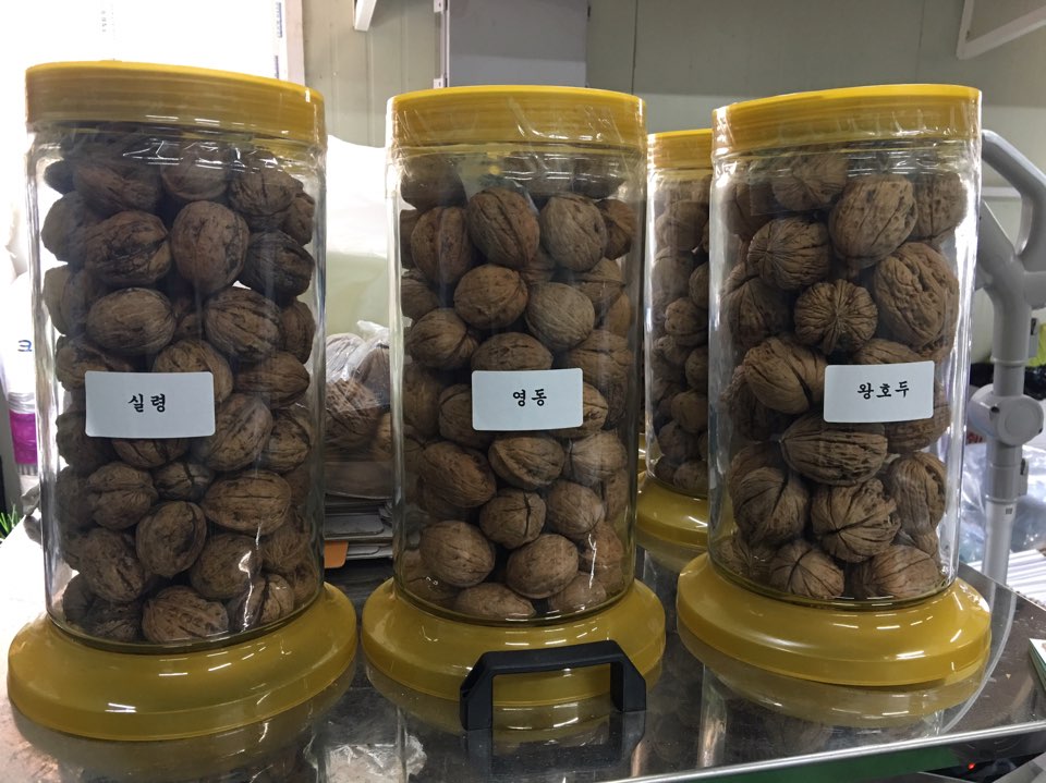 대흥지킴이 이미지