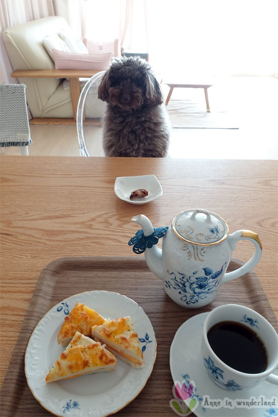 제이앤브로 이미지