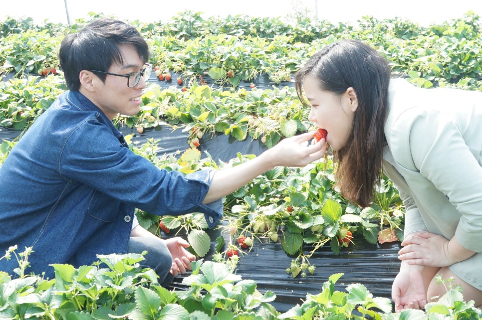 숲옛마을 이미지