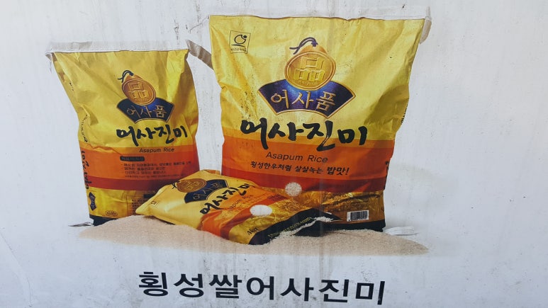 횡성명품배추 이미지