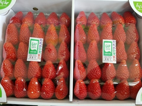 불당야채과일 이미지