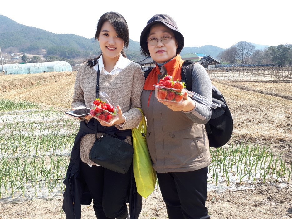 숲옛마을 이미지