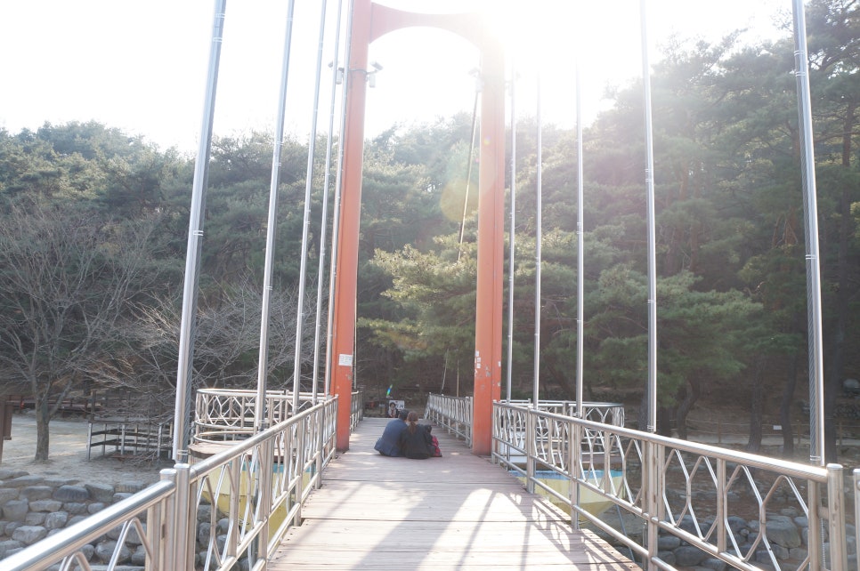 숲옛마을 이미지