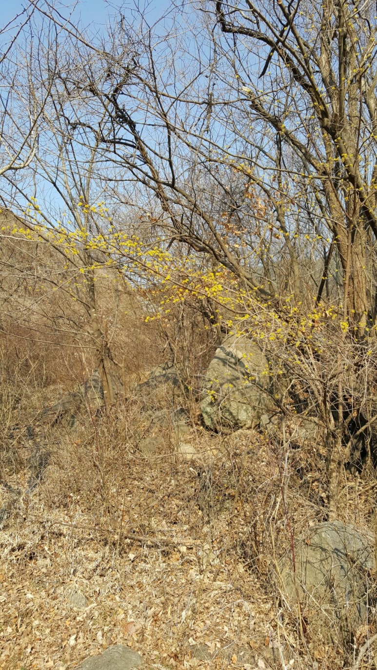 산모음민박 이미지
