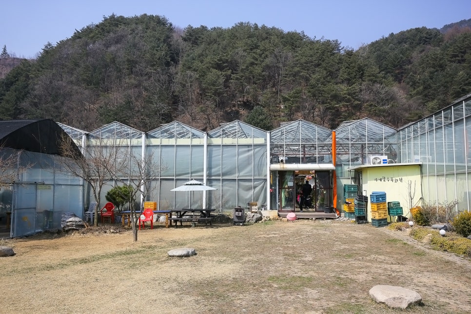 원주식물원 이미지