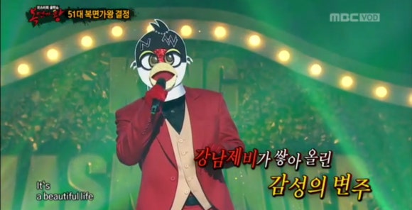 고양제비 이미지