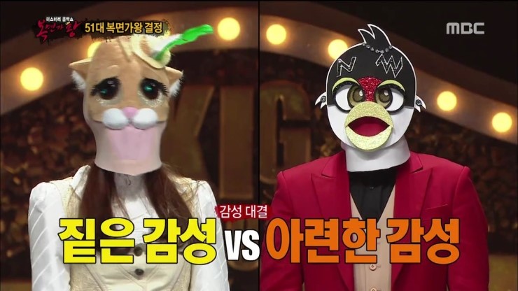 고양제비 이미지