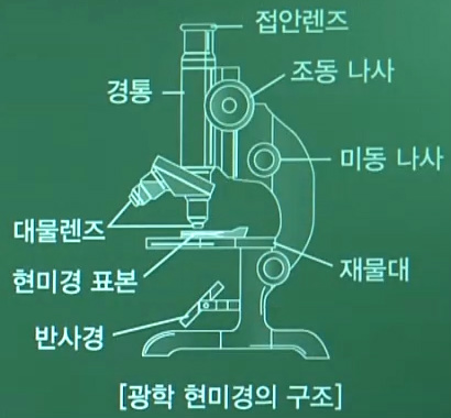 광학현미경(구조/그림/종류), 프레파라트(제작순서) : 네이버 블로그