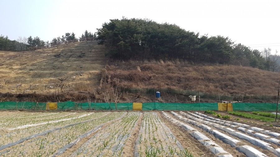 만다린반점 이미지