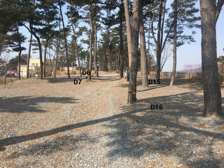 태안별빛오토캠핑장 이미지