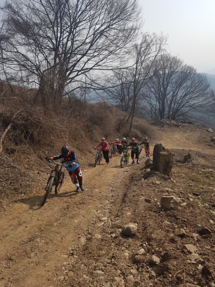 (주)싱글 이미지