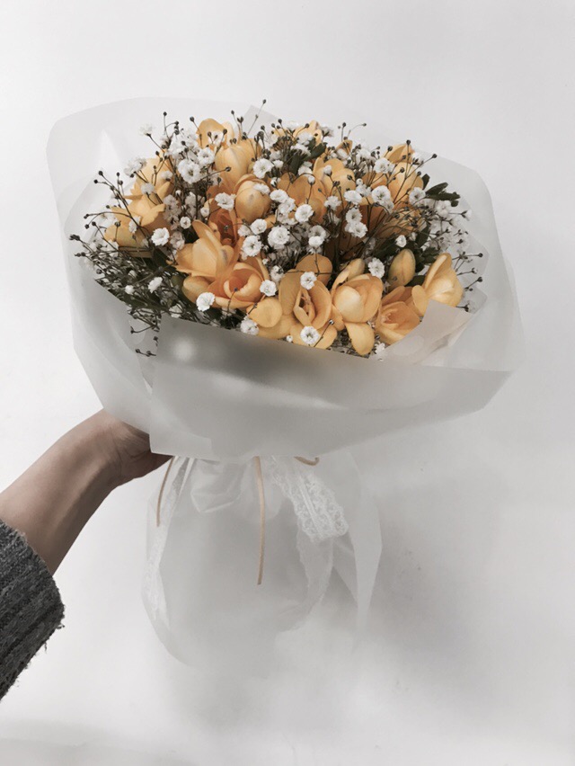 프리지아103 이미지
