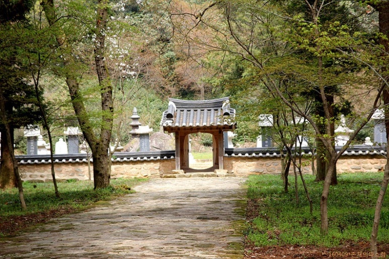 새잎 이미지