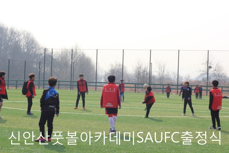 신안산유소년풋볼아카데미 이미지