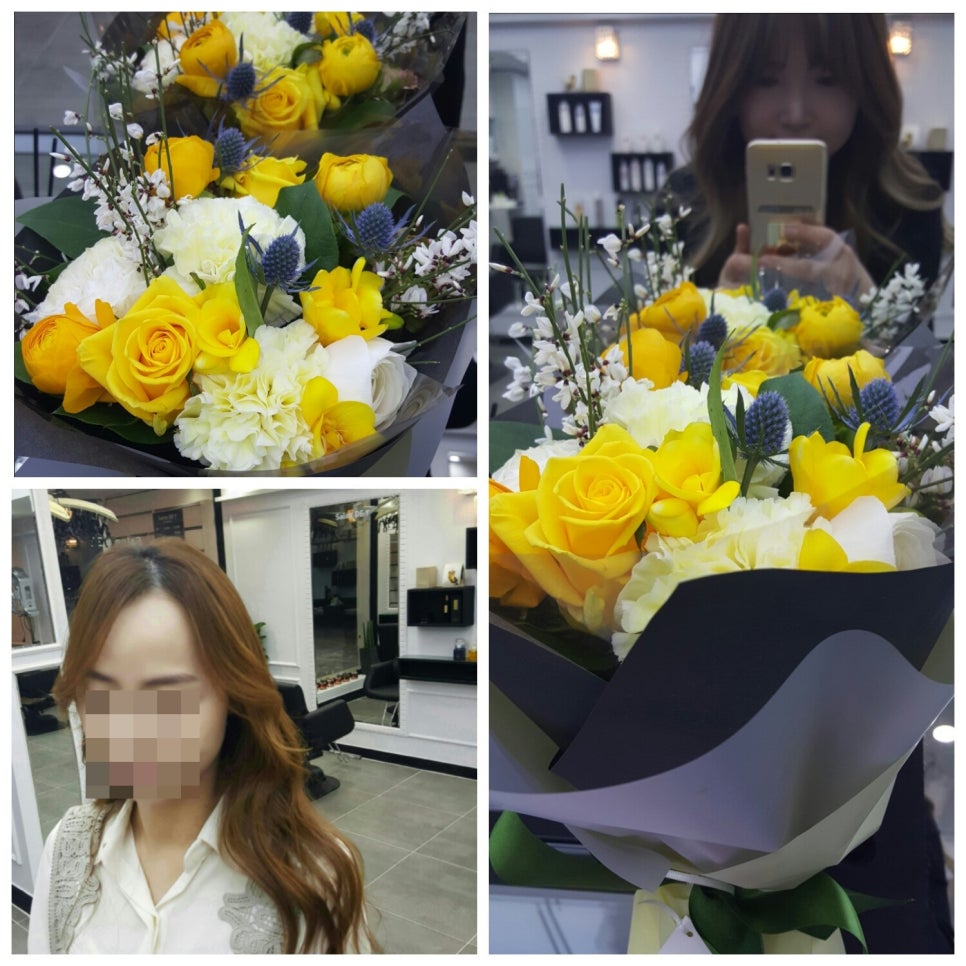 살롱드와이 이미지