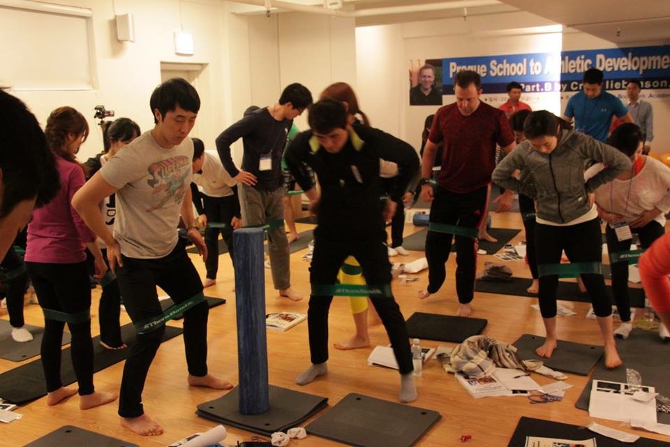 다듬체 이미지