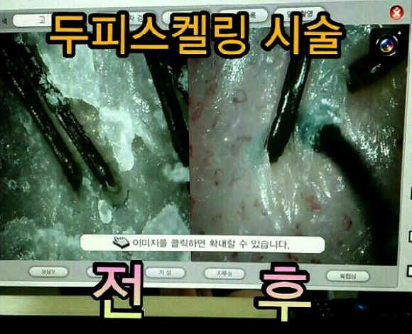 21세기헤어미용실 이미지