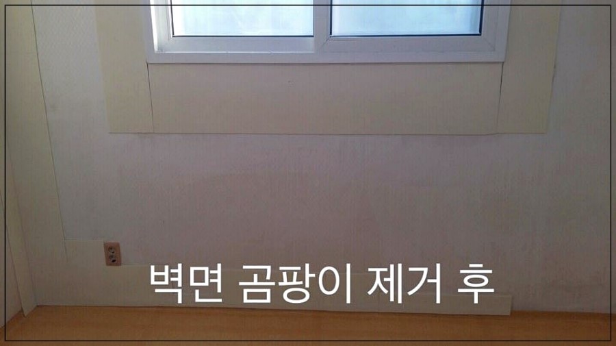 청소닥터 이미지