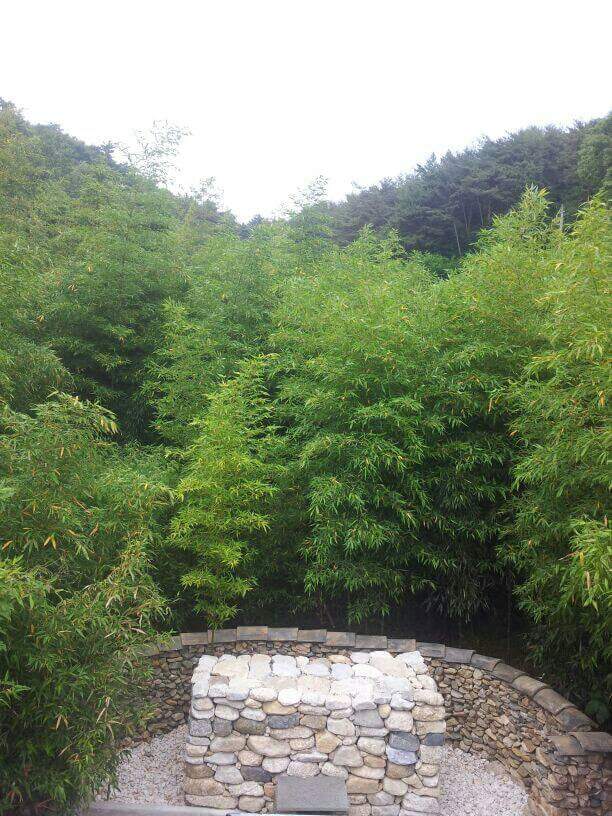 또,영 이미지